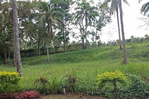 Land for sale in Anilao, Batangas