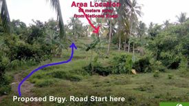 Land for sale in Bongoyan, Cebu