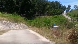 Land for sale in San Roque, Cebu