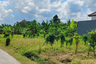 Land for sale in Sanda, Bali