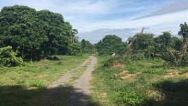 Land for sale in Chom Phu, Chiang Mai