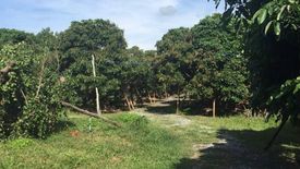 Land for sale in Chom Phu, Chiang Mai