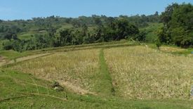 Land for sale in Bucayab, La Union