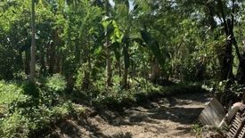 Land for sale in Catarman, Cebu