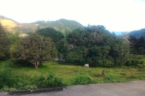 Land for sale in Cantao-An, Cebu