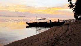 Land for sale in Berong, Palawan