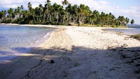 Land for sale in Berong, Palawan