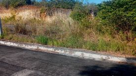 Land for sale in San Roque, Cebu