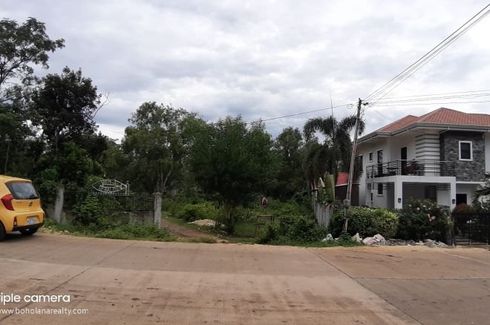Land for Sale or Rent in Tawala, Bohol