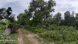 Land for Sale or Rent in Tawala, Bohol