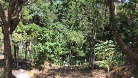 Land for sale in Patong, Phuket