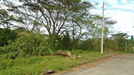 Land for sale in Pulangbato, Cebu