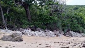 Land for sale in Casian, Palawan