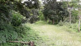 Land for sale in On Tai, Chiang Mai