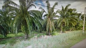 Land for sale in Bukit Rotan, Selangor