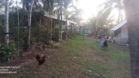Land for sale in Tawala, Bohol