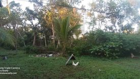 Land for sale in Tawala, Bohol