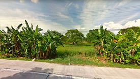 Land for sale in Pacac, Nueva Ecija