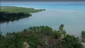 Land for sale in Lucbuan, Palawan