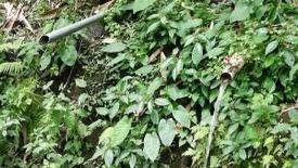 Tanah dijual dengan  di Batubulan, Bali