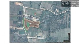 Land for sale in Chedi Luang, Chiang Rai