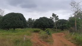 Land for sale in Bingag, Bohol