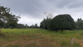 Land for sale in Bingag, Bohol