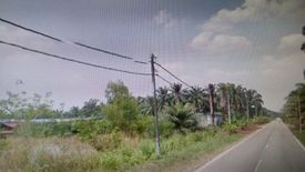 Land for rent in Kampung Seri Cheding, Selangor