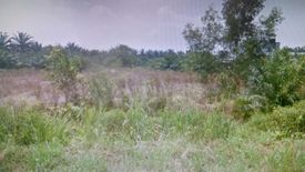 Land for rent in Kampung Seri Cheding, Selangor