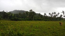 Land for sale in Tuburan, Albay