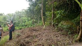 Land for sale in Buenavista, Cebu