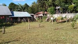Land for sale in Poblacion No. 8, Negros Oriental