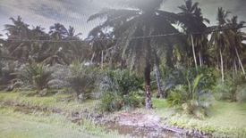 Land for sale in Kampung Sungai Sembilang, Selangor