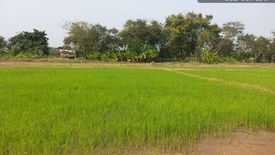 Land for sale in Si Mueang Chum, Chiang Rai