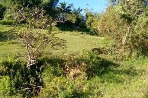 Land for sale in Busay, Cebu