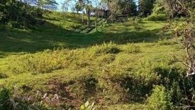 Land for sale in Busay, Cebu
