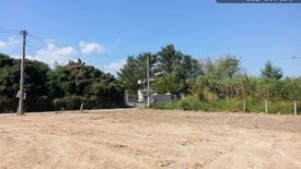 Land for sale in Fa Ham, Chiang Mai