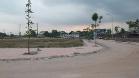 Land for sale in An Lac, Ho Chi Minh