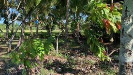 Land for sale in Calinan, Davao del Sur