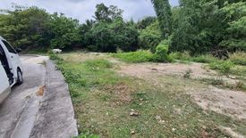 Land for sale in Pulangbato, Cebu