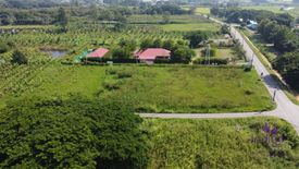 Land for sale in Nam Bo Luang, Chiang Mai