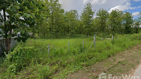 Land for sale in Nong Han, Chiang Mai