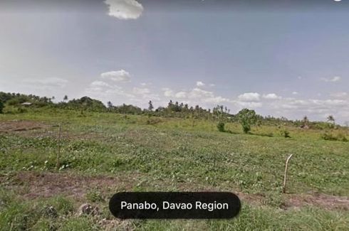 Land for sale in Pandaitan, Davao del Sur