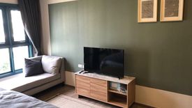 1 Bedroom Condo for rent in THE BASE Sukhumvit 50, Phra Khanong, Bangkok near BTS On Nut