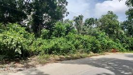Land for sale in Dao, Bohol