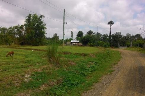 Land for sale in Malineng, Nueva Ecija