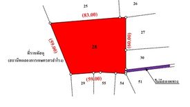 Land for sale in Khlong Tan, Sukhothai