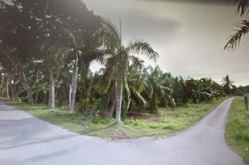 Land for sale in Kuala Selangor, Selangor