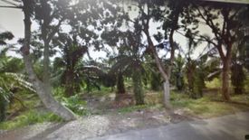 Land for sale in Kuala Selangor, Selangor