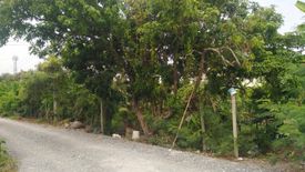 Land for sale in Bang Phai, Bangkok